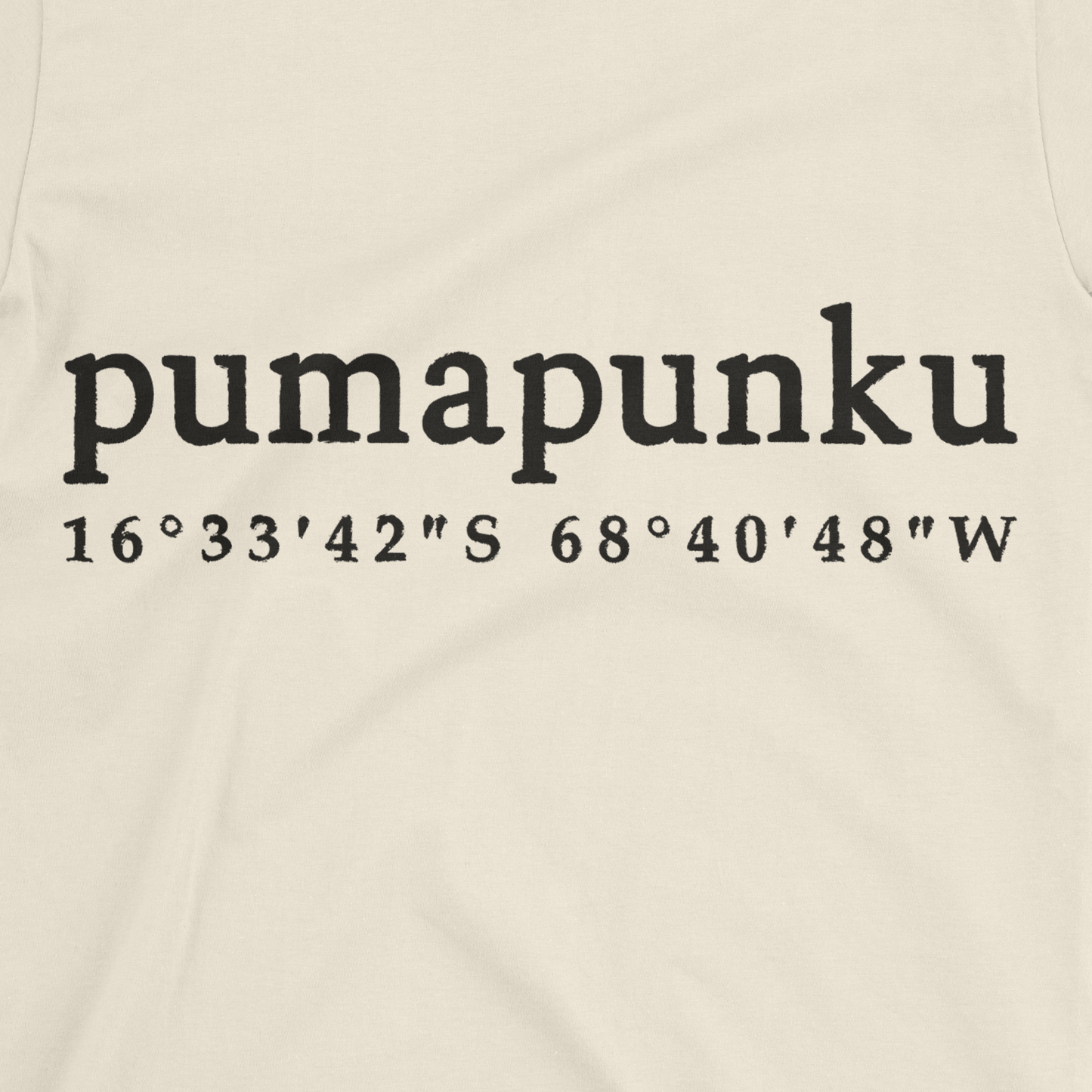 PUMAPUNKU COORDINATES T-Shirt