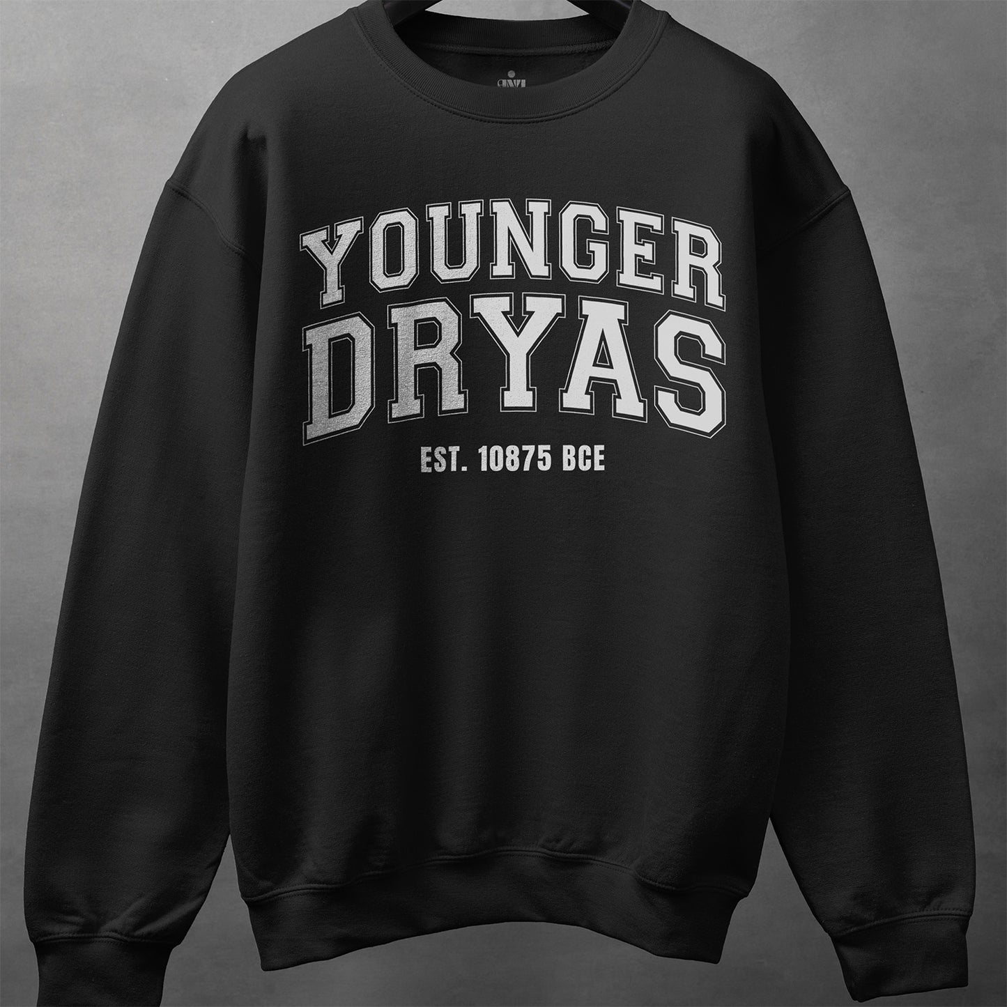 YOUNGER DRYAS Varsity Sweatshirt