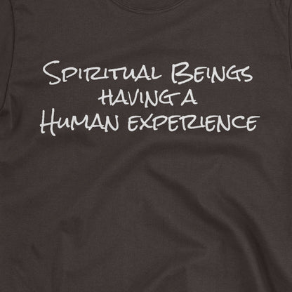 Spiritual Beings Having a Human Experience T-Shirt