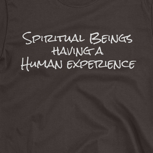 Spiritual Beings Having a Human Experience T-Shirt