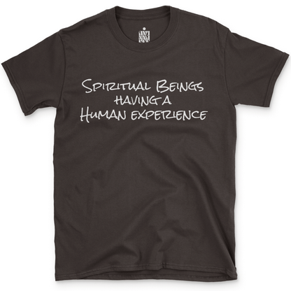 Spiritual Beings Having a Human Experience T-Shirt