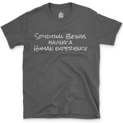 Spiritual Beings Having a Human Experience T-Shirt